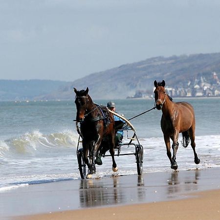Le Nid De Plage A 100 M De La Mer Cabourg Eksteriør billede
